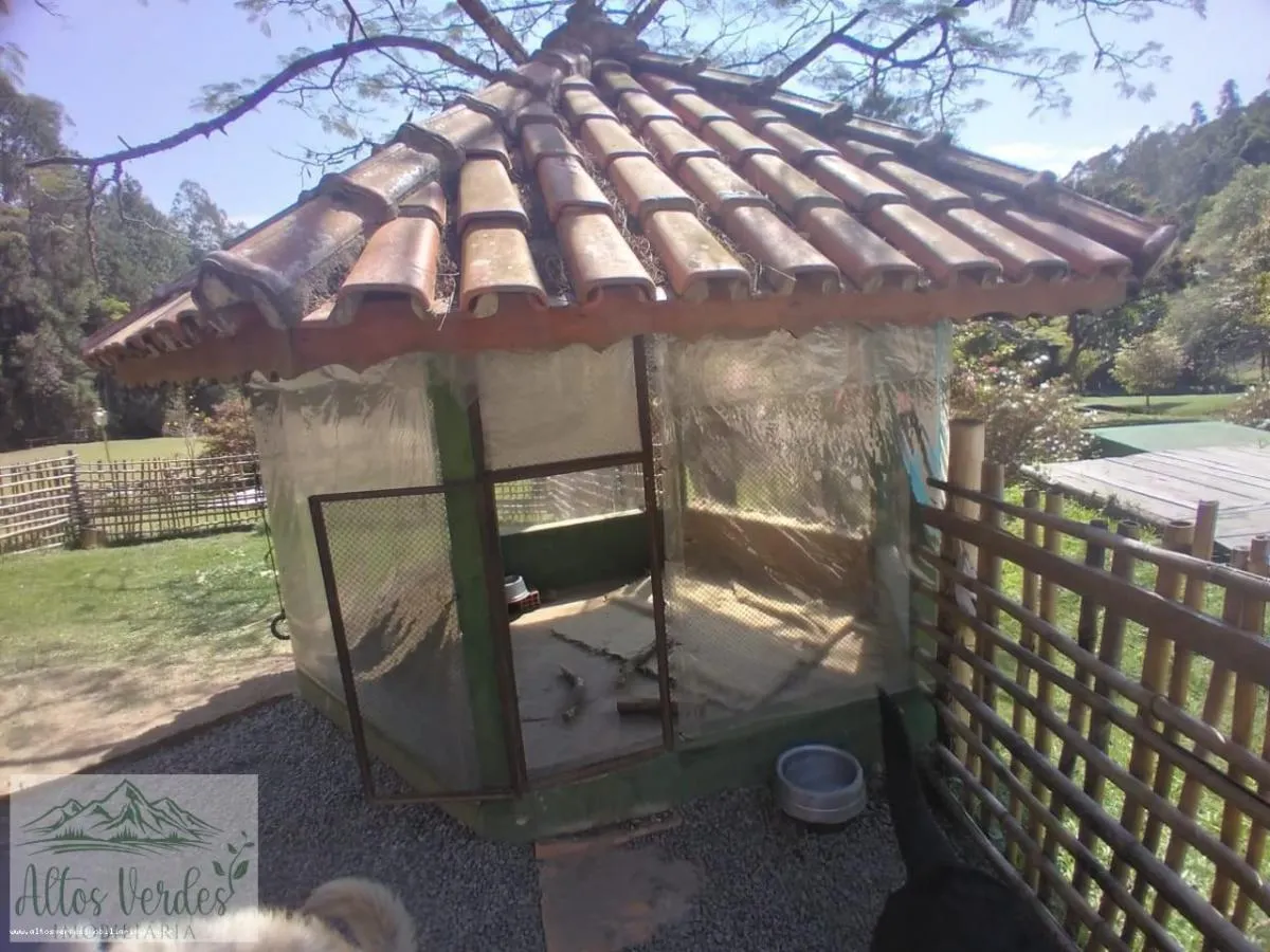 Sítio à venda de 4 ha em Pinhalzinho, SP, Brasil
