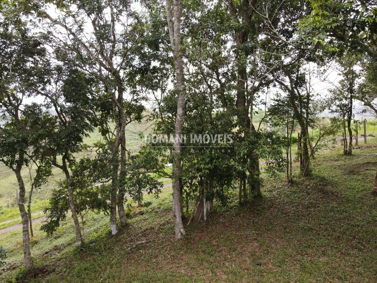 Casa à venda de 1 ha em Santo Antônio do Pinhal, SP, Brasil