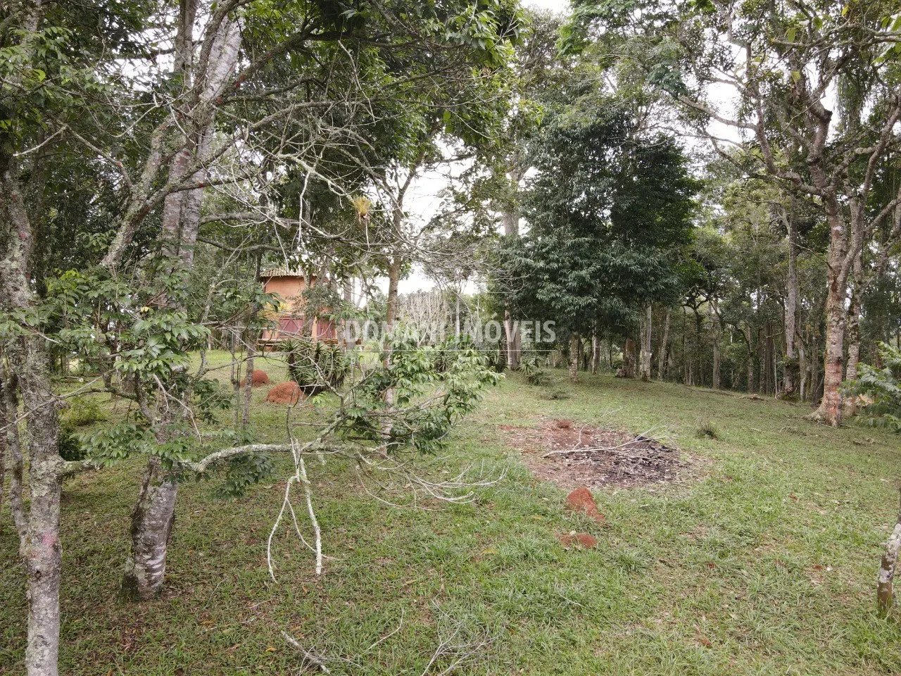 Casa à venda de 1 ha em Santo Antônio do Pinhal, SP, Brasil