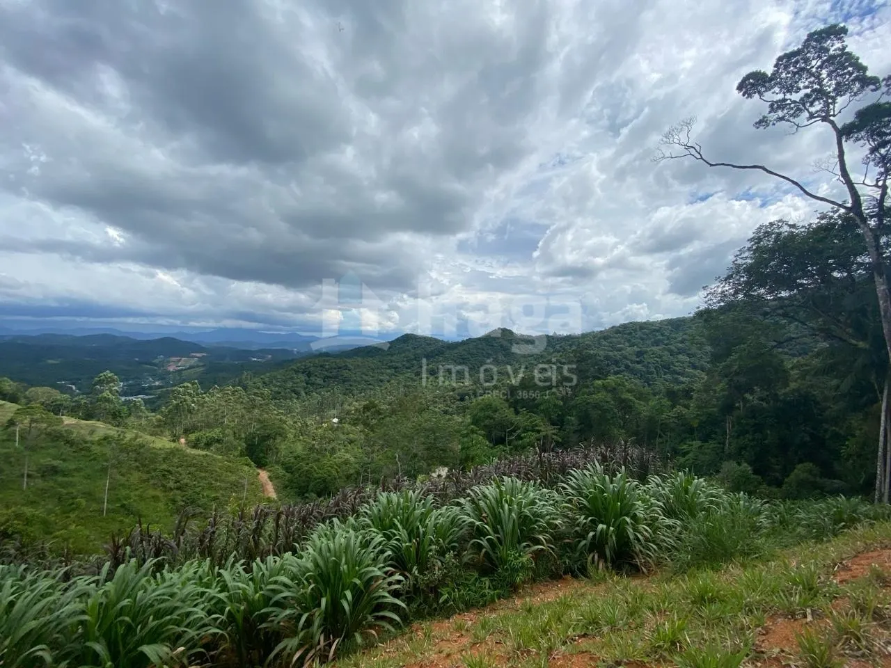 Terreno à venda de 2.400 m² em Guabiruba, SC, Brasil