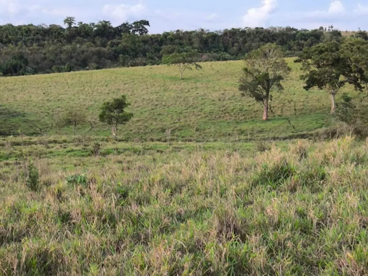 Fazenda à venda de 128 ha em Cássia dos Coqueiros, SP, Brasil