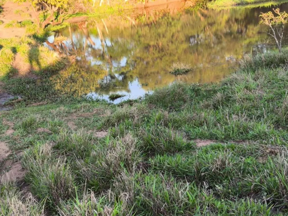 Fazenda à venda de 128 ha em Cássia dos Coqueiros, SP, Brasil