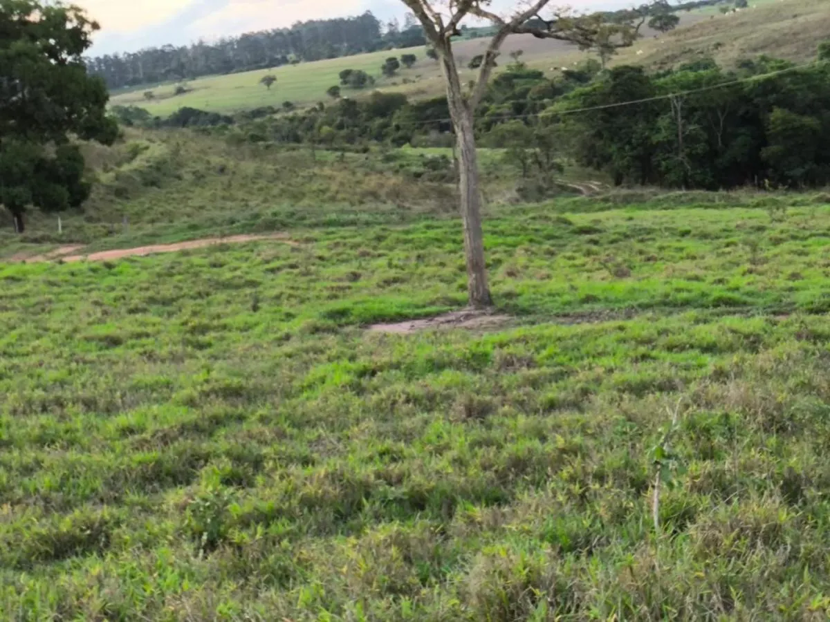 Fazenda à venda de 128 ha em Cássia dos Coqueiros, SP, Brasil