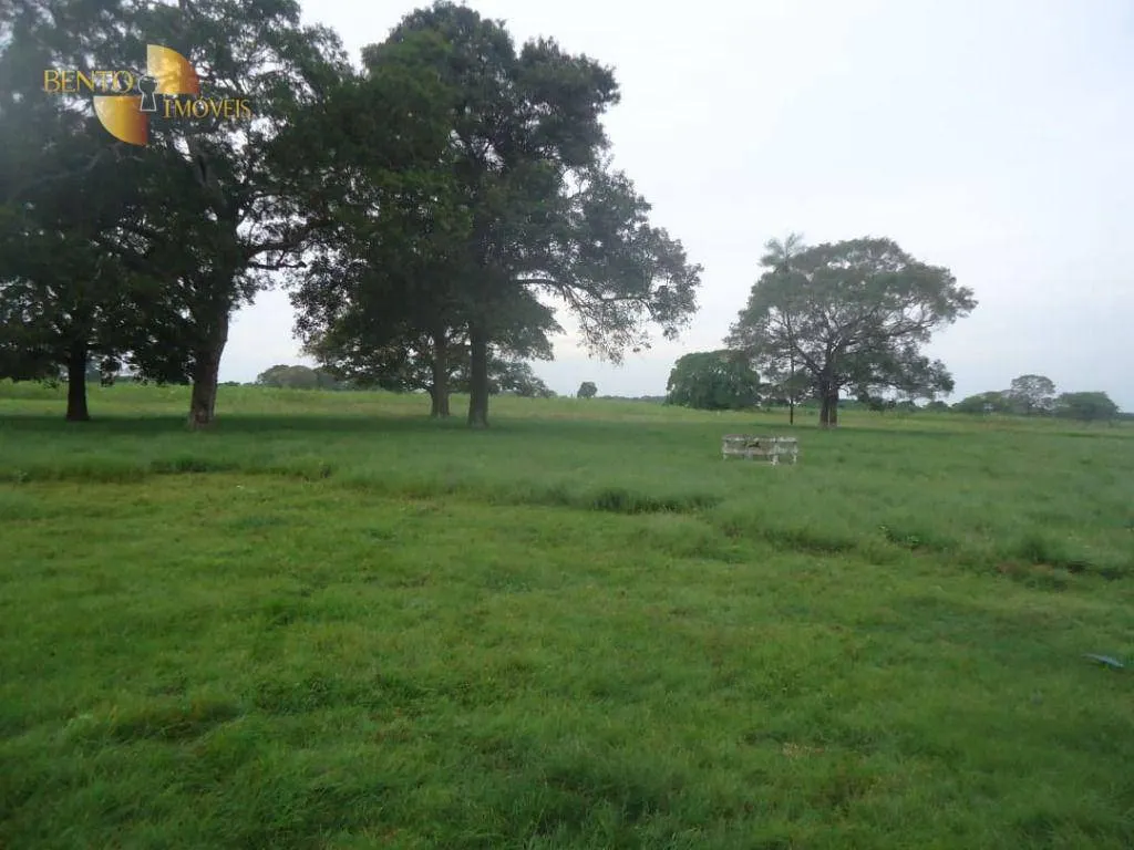 Farm for sale of 101,313 acres in Poconé, MT, Brazil