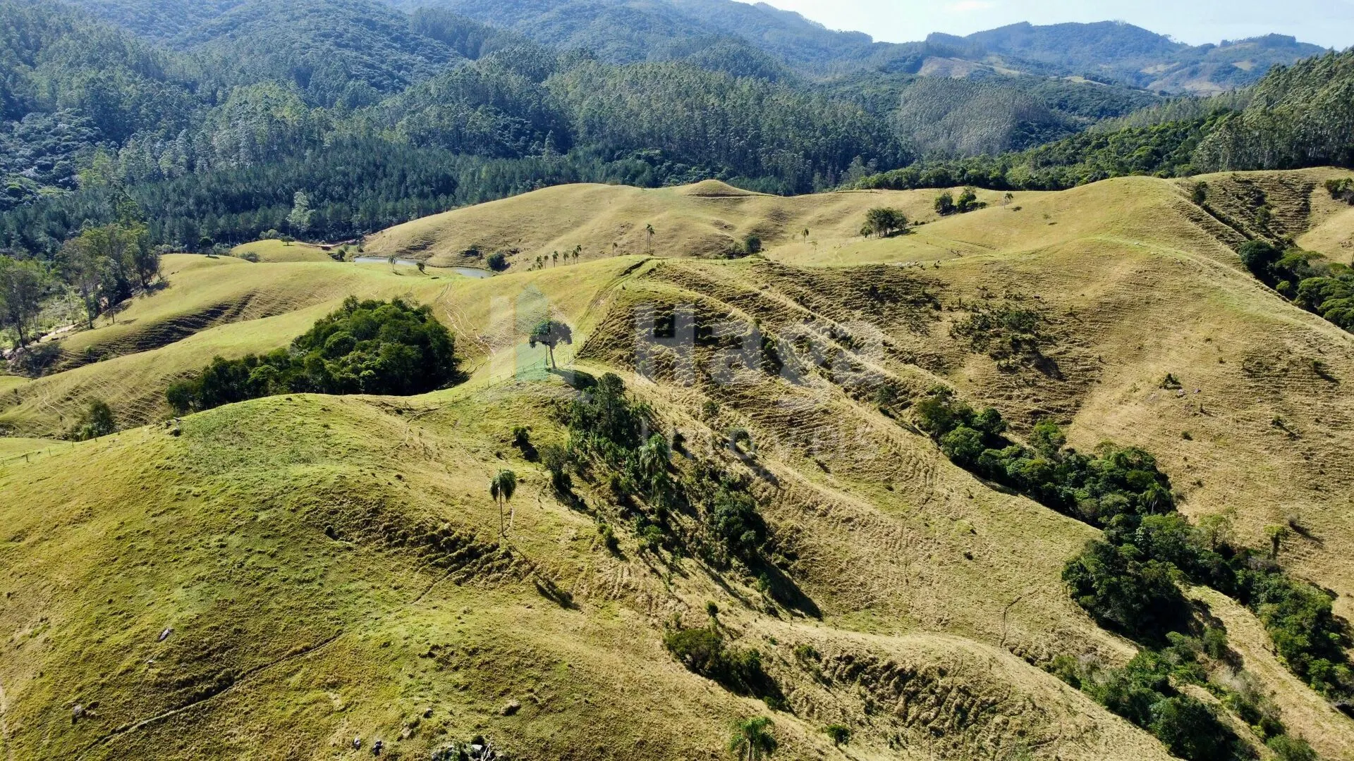 Farm for sale of 158 acres in Imaruí, SC, Brazil