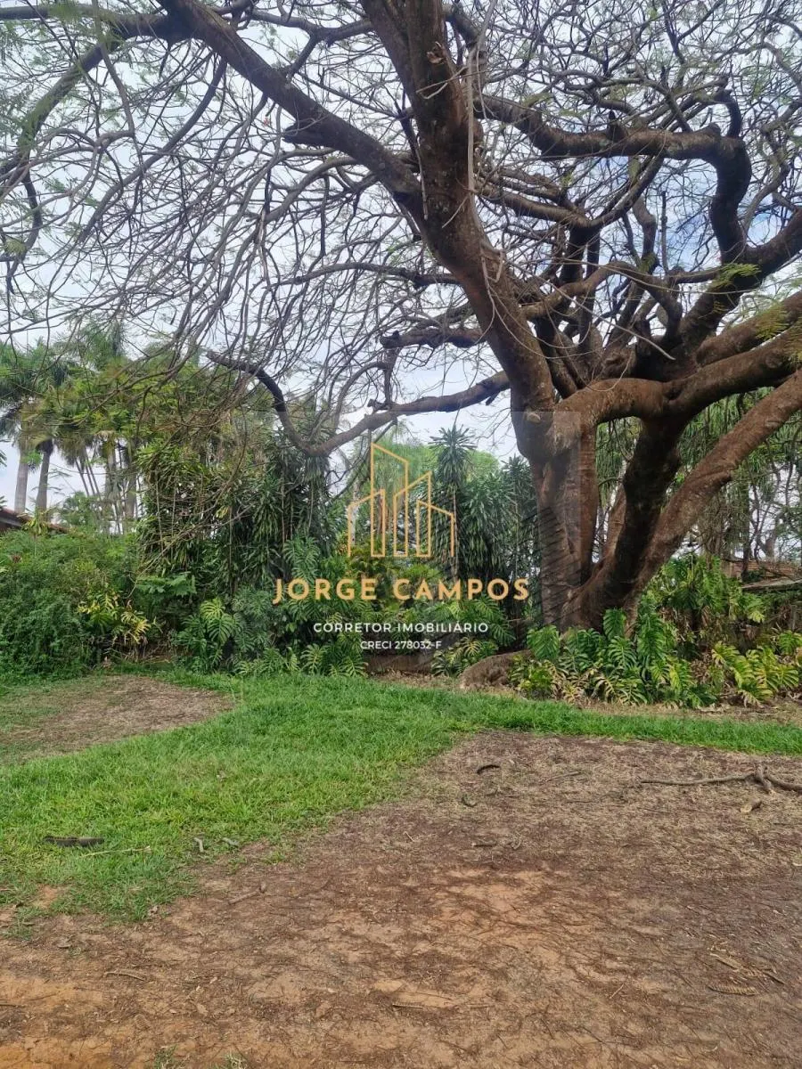 Fazenda à venda de 53 ha em Turiúba, SP, Brasil