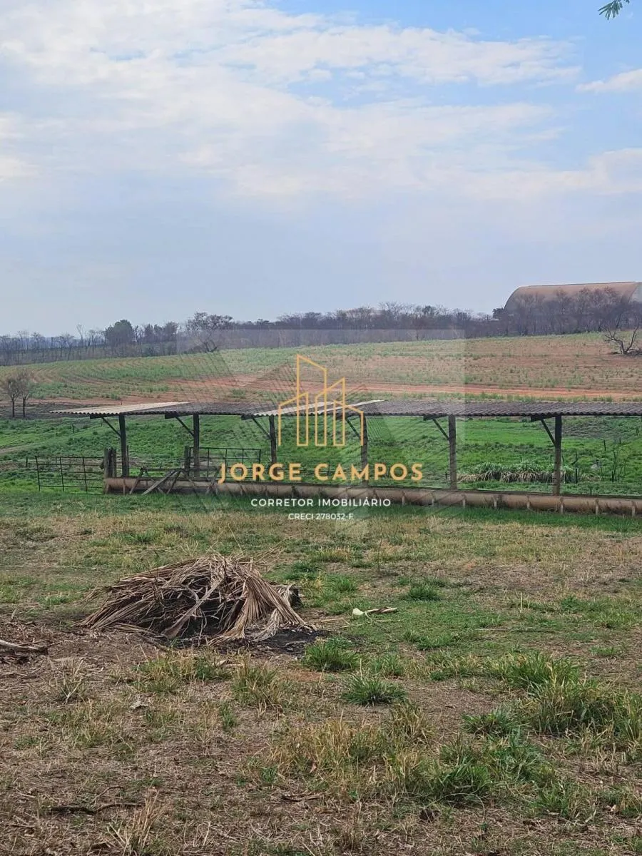 Fazenda à venda de 53 ha em Turiúba, SP, Brasil