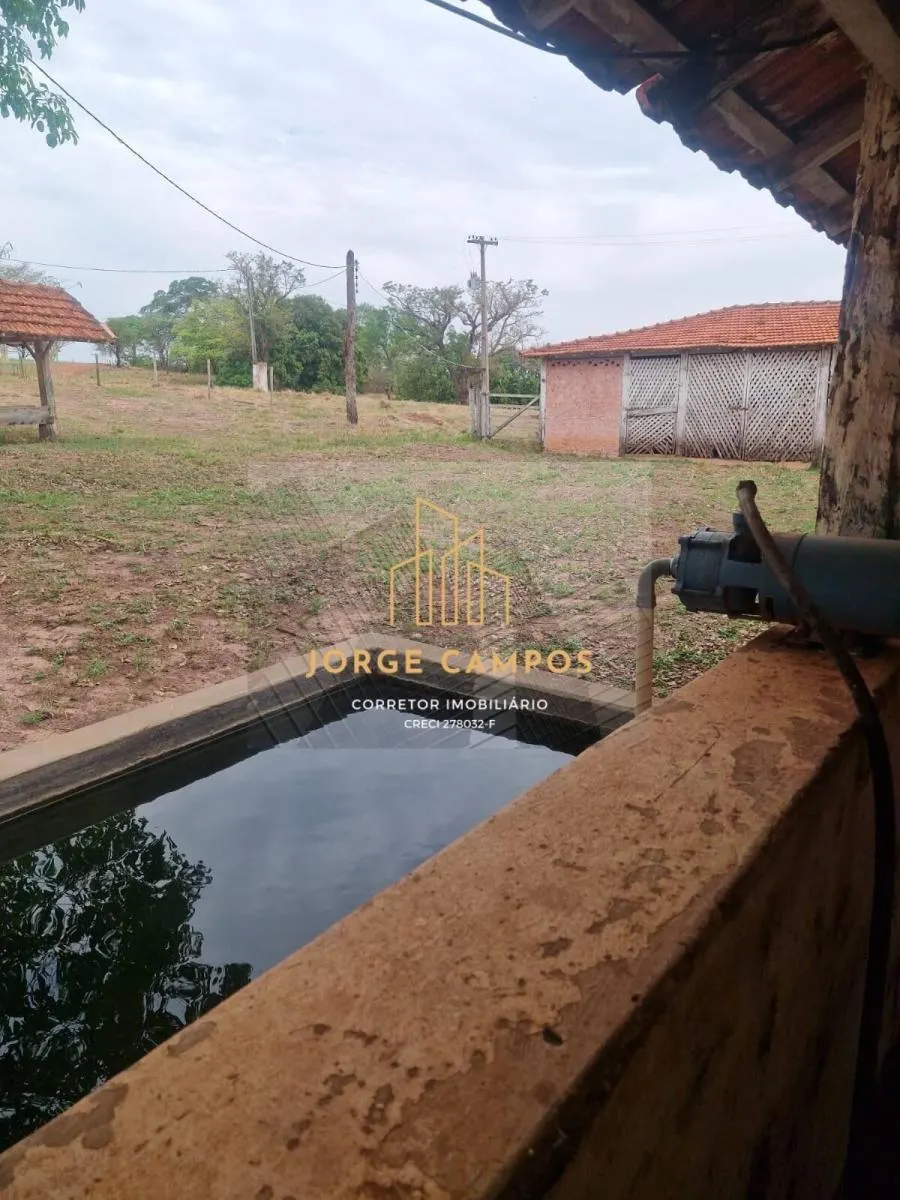 Fazenda à venda de 53 ha em Turiúba, SP, Brasil