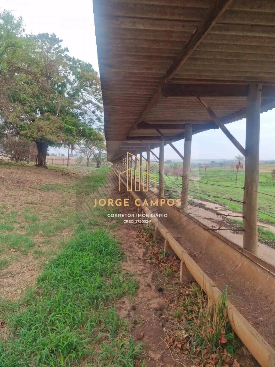 Fazenda à venda de 53 ha em Turiúba, SP, Brasil