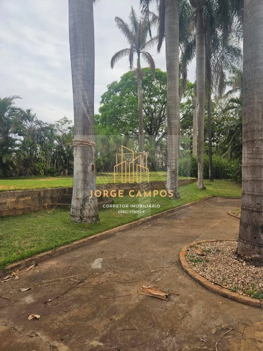 Fazenda à venda de 53 ha em Turiúba, SP, Brasil