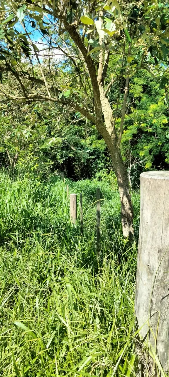 Fazenda à venda de 5 ha em Tatuí, SP, Brasil