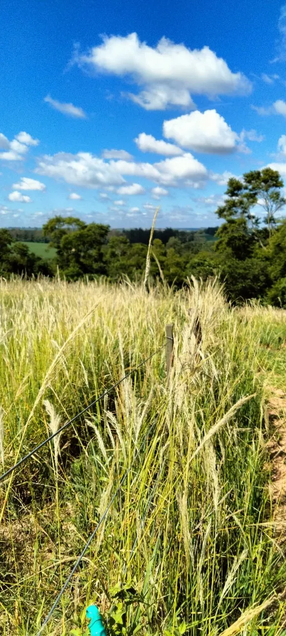 Fazenda à venda de 5 ha em Tatuí, SP, Brasil