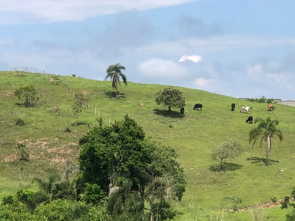 Terreno à venda de 10 ha em Jacareí, SP, Brasil