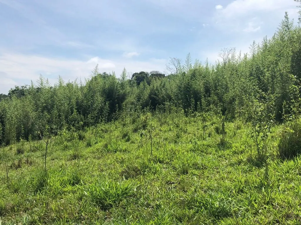 Terreno à venda de 10 ha em Jacareí, SP, Brasil