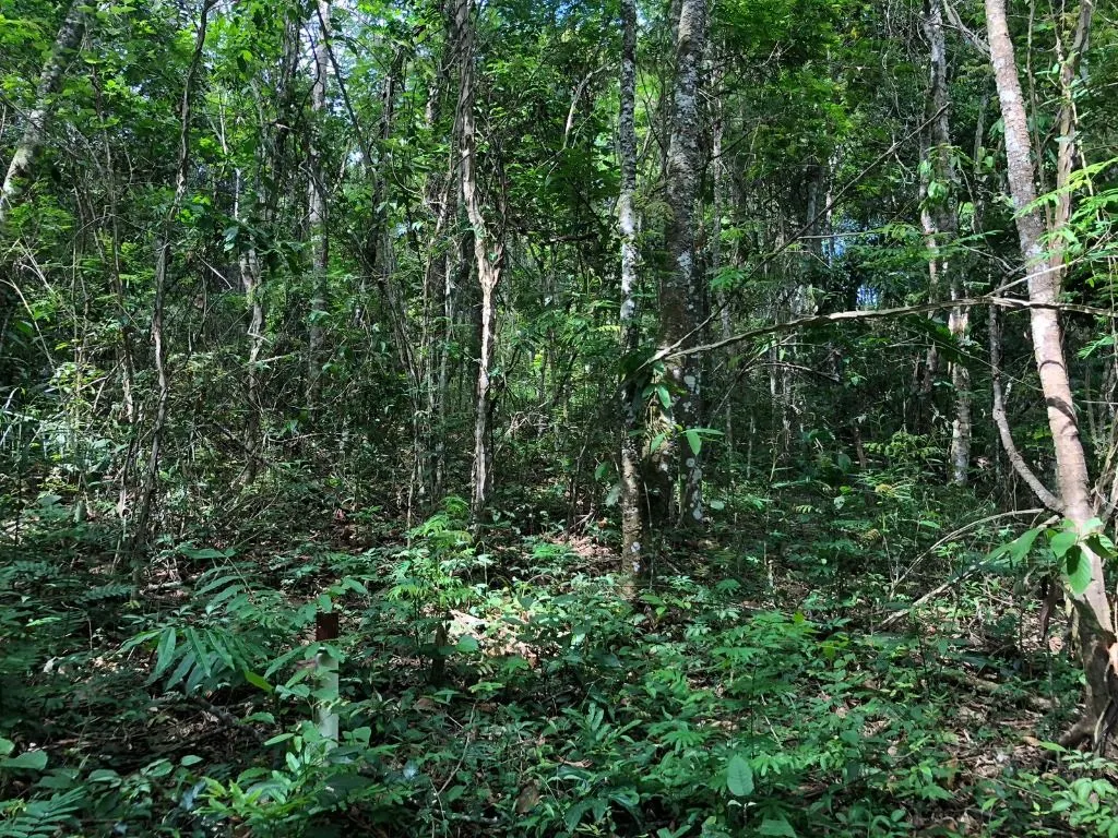 Terreno à venda de 10 ha em Jacareí, SP, Brasil