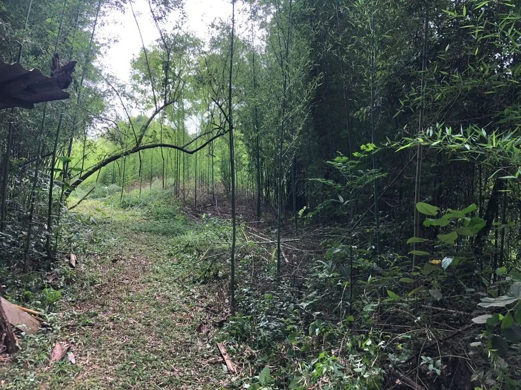 Terreno à venda de 10 ha em Jacareí, SP, Brasil