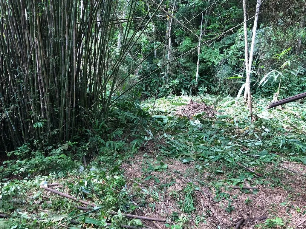 Terreno à venda de 10 ha em Jacareí, SP, Brasil