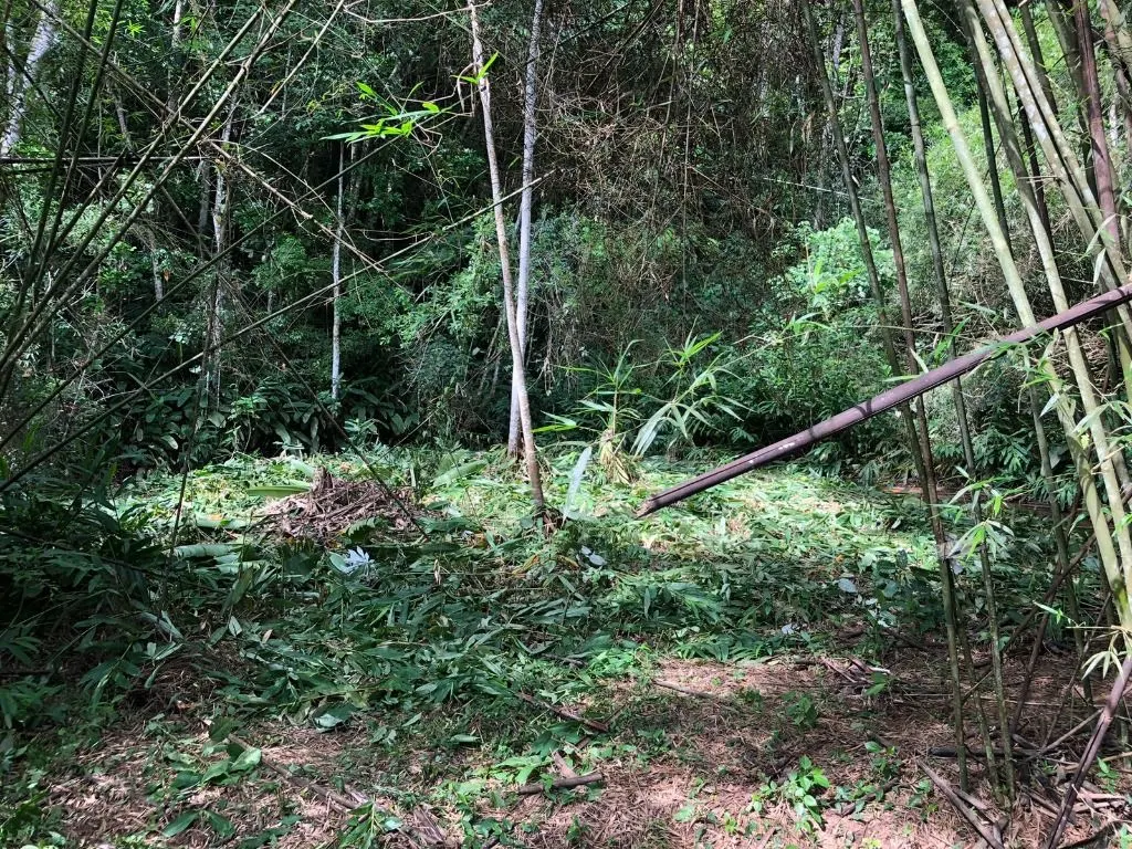 Terreno à venda de 10 ha em Jacareí, SP, Brasil