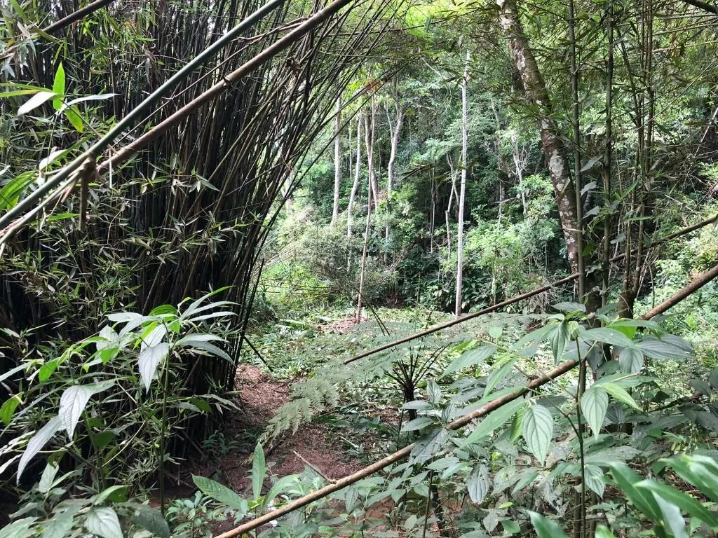 Terreno à venda de 10 ha em Jacareí, SP, Brasil