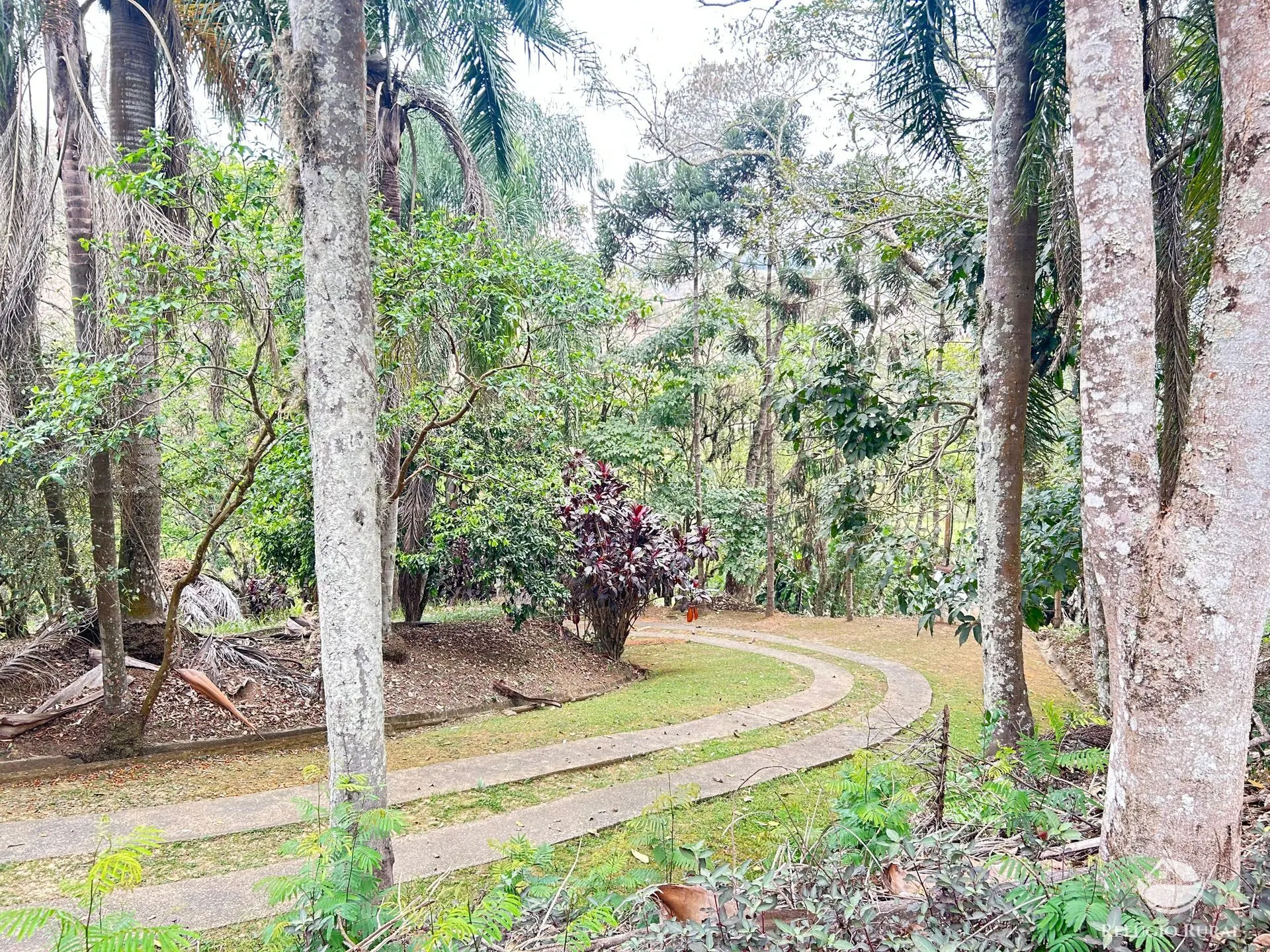 Sítio à venda de 43 ha em São José dos Campos, SP, Brasil