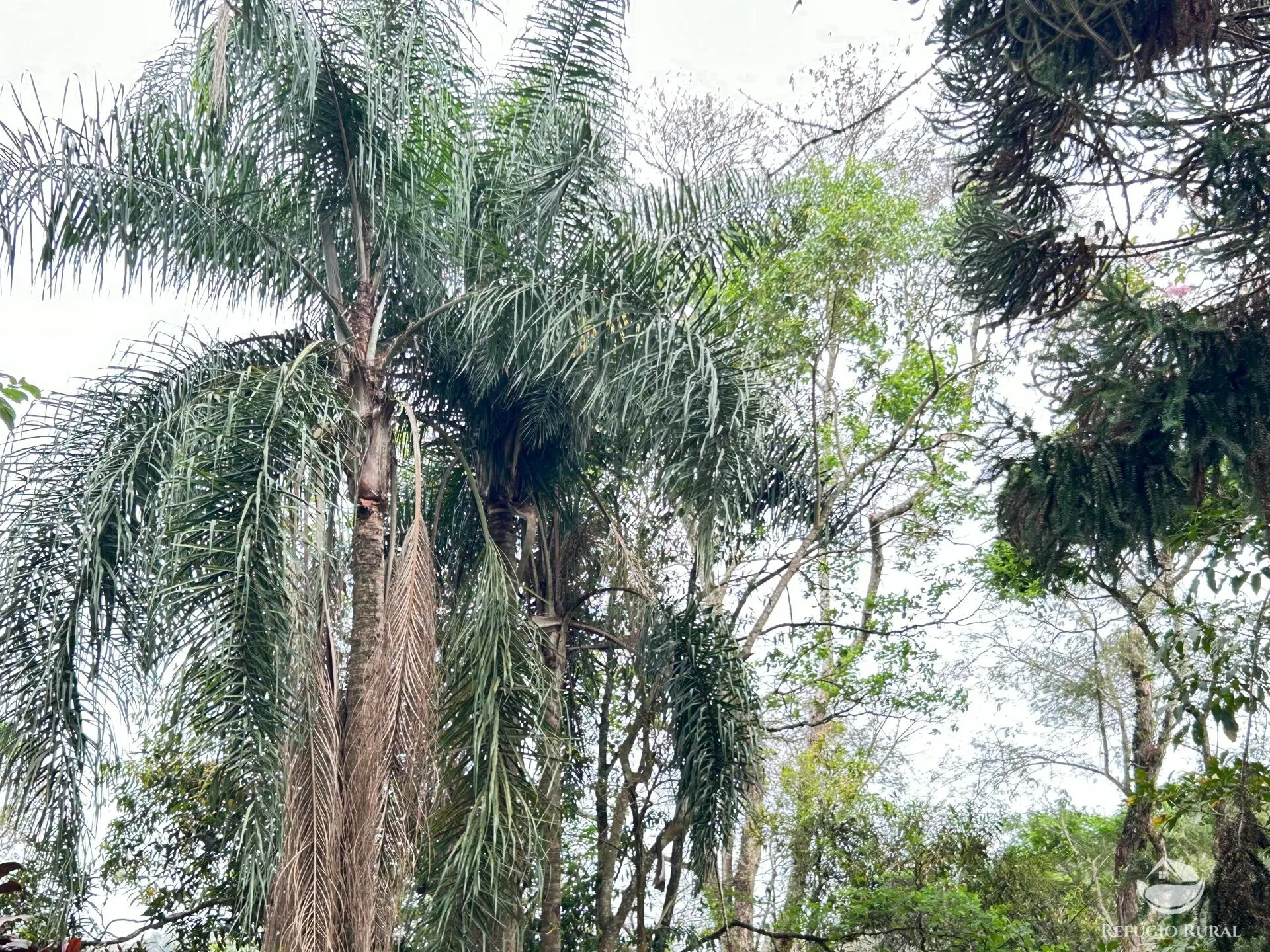 Sítio à venda de 43 ha em São José dos Campos, SP, Brasil