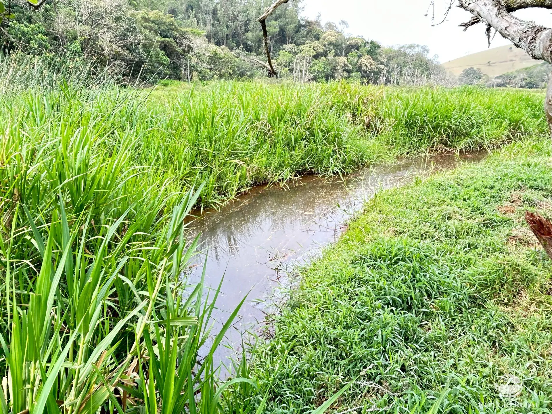 Sítio à venda de 43 ha em São José dos Campos, SP, Brasil