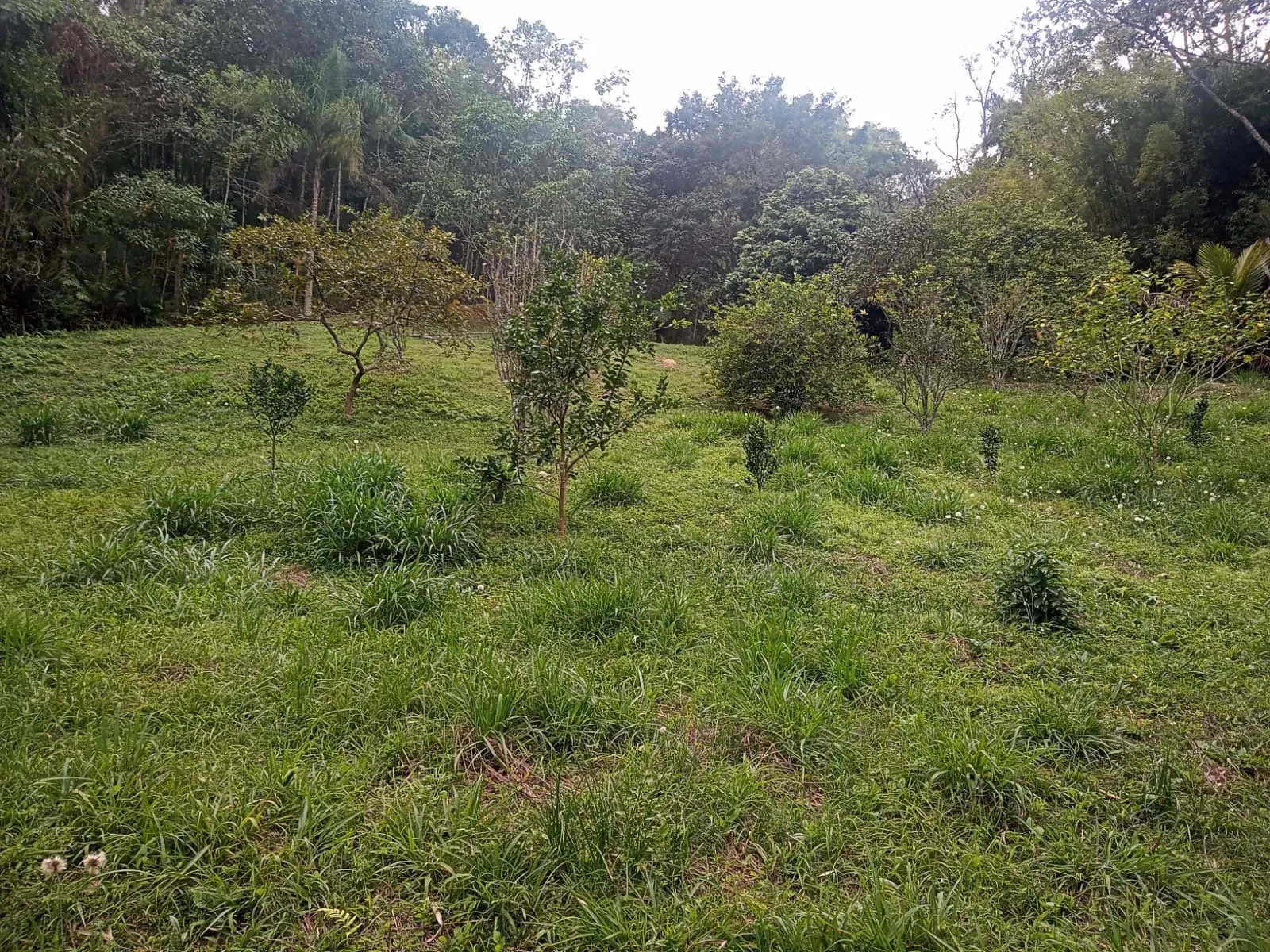 Chácara à venda de 5.800 m² em São José dos Campos, SP, Brasil