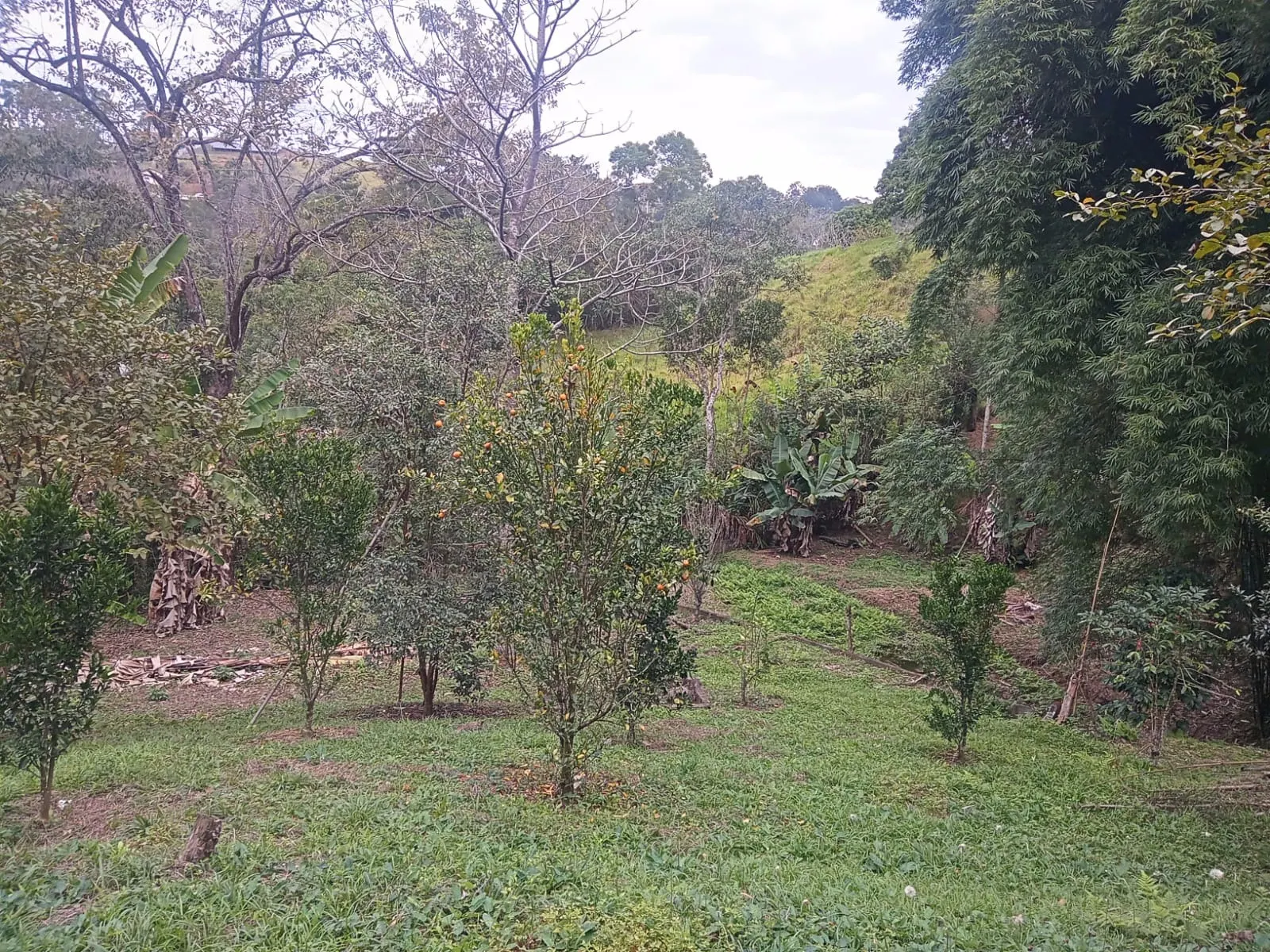 Chácara à venda de 5.800 m² em São José dos Campos, SP, Brasil