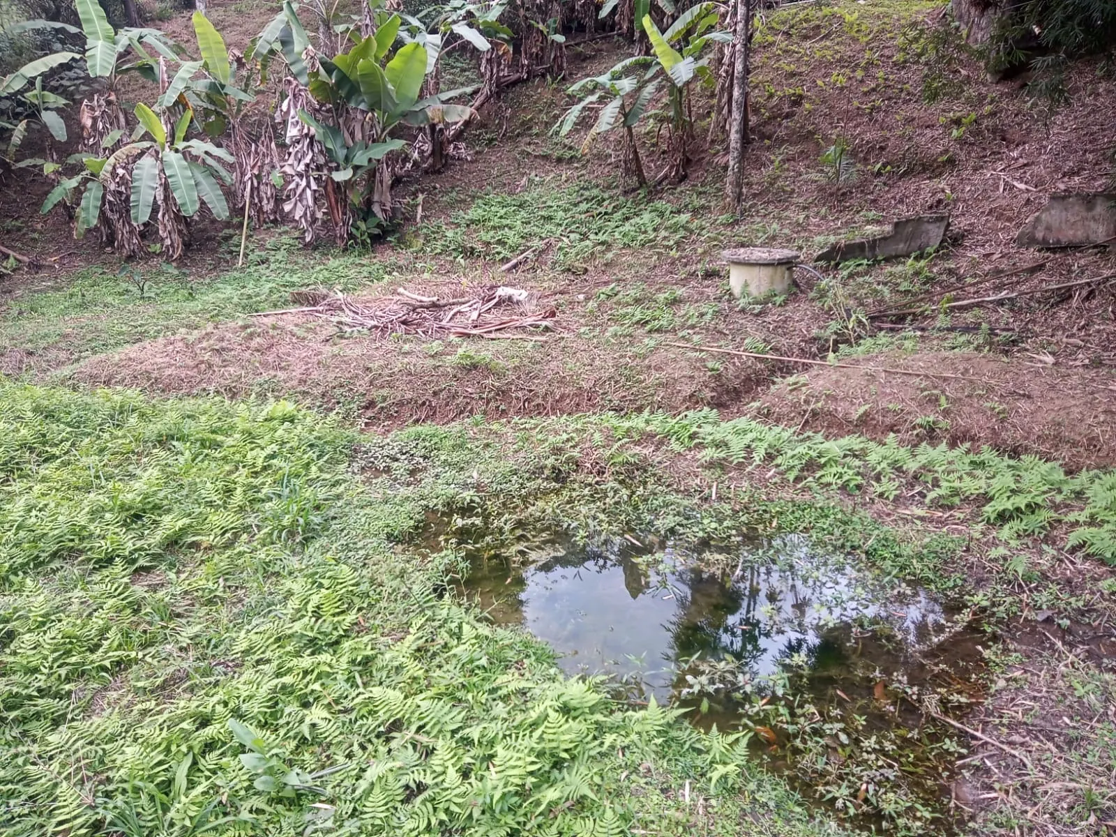 Chácara à venda de 5.800 m² em São José dos Campos, SP, Brasil