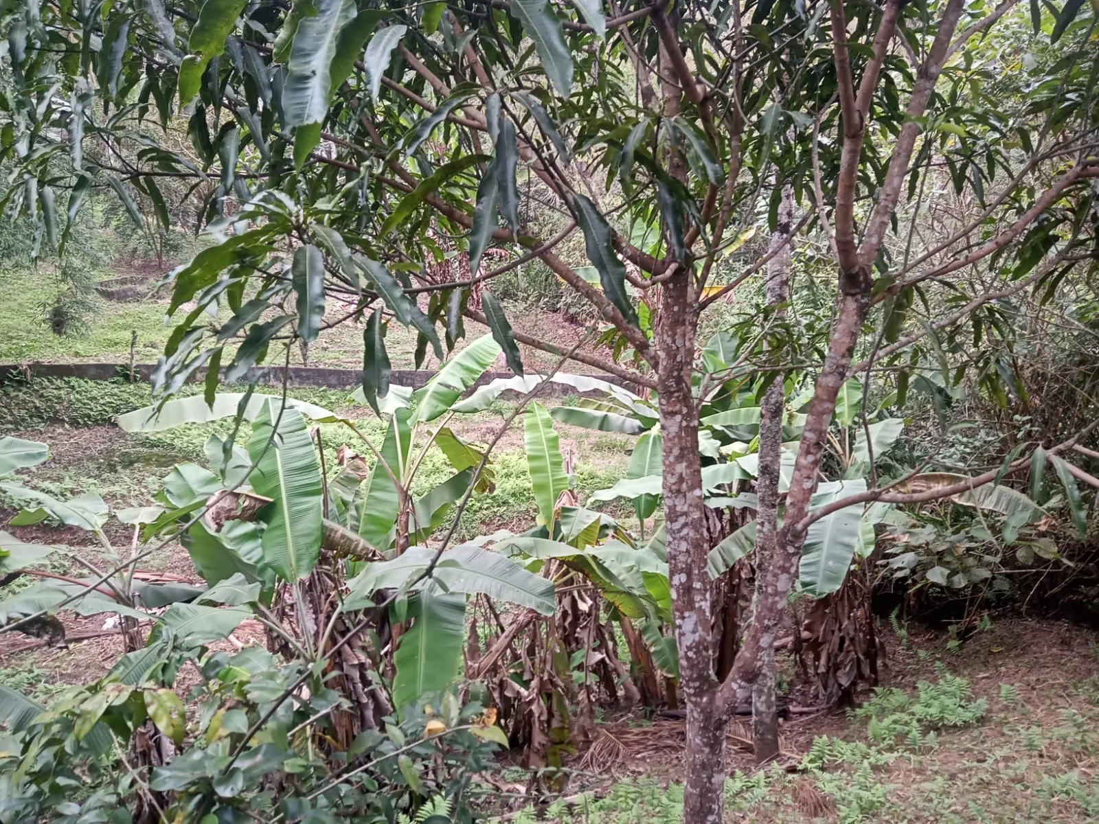 Chácara à venda de 5.800 m² em São José dos Campos, SP, Brasil