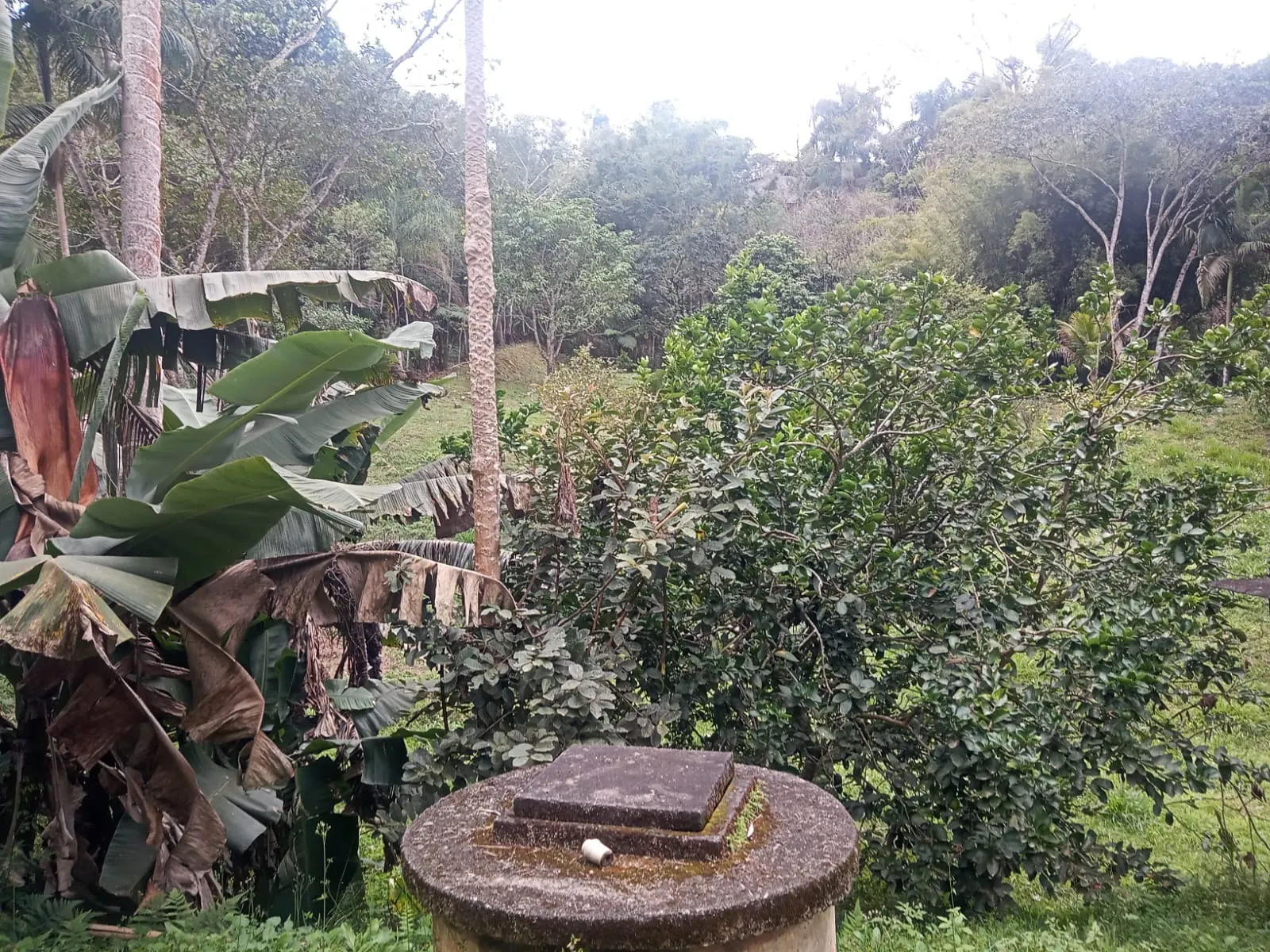Chácara à venda de 5.800 m² em São José dos Campos, SP, Brasil