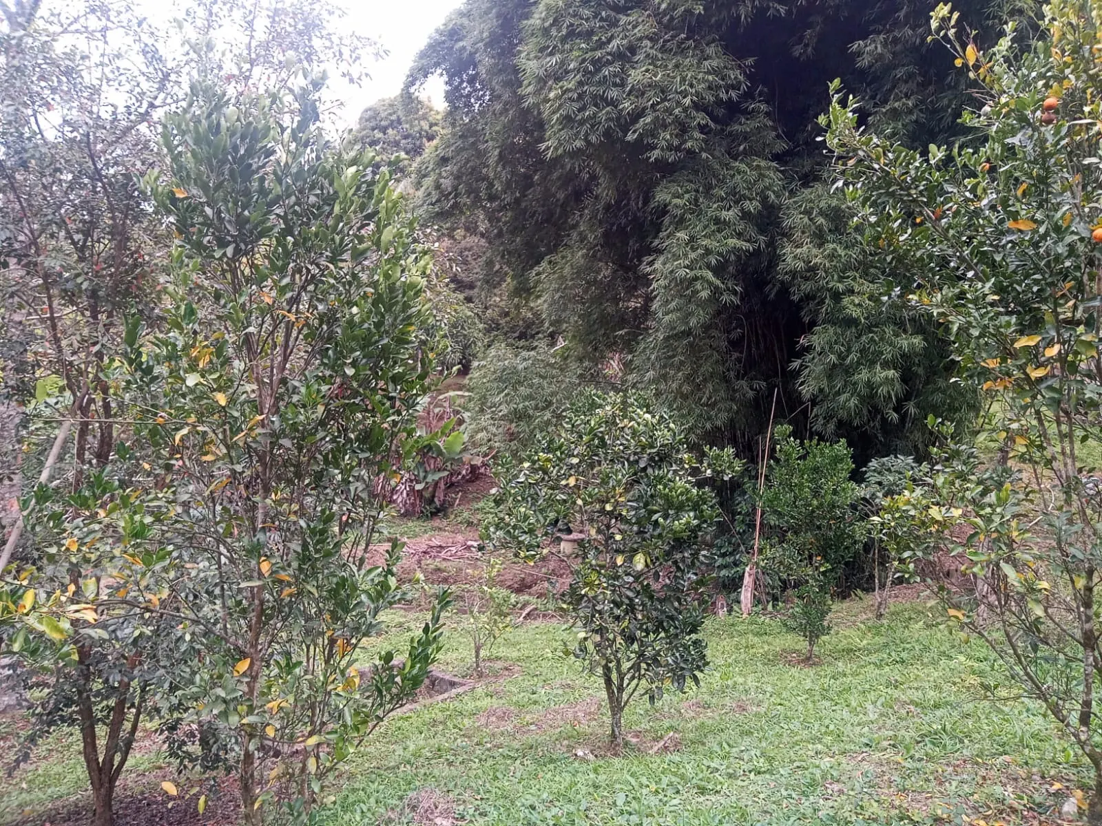 Chácara à venda de 5.800 m² em São José dos Campos, SP, Brasil