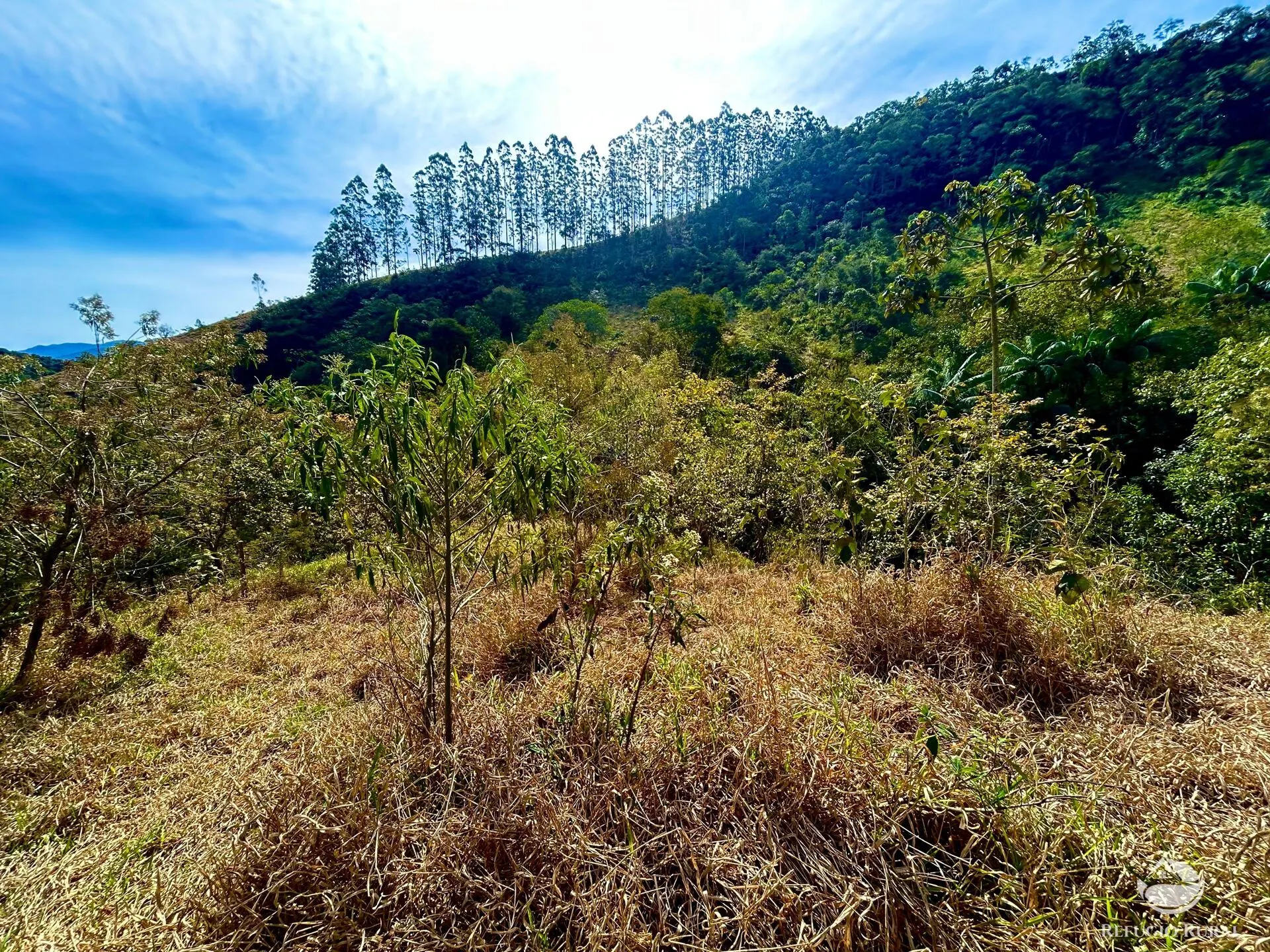 Plot for sale of 5 acres in São José dos Campos, SP, Brazil