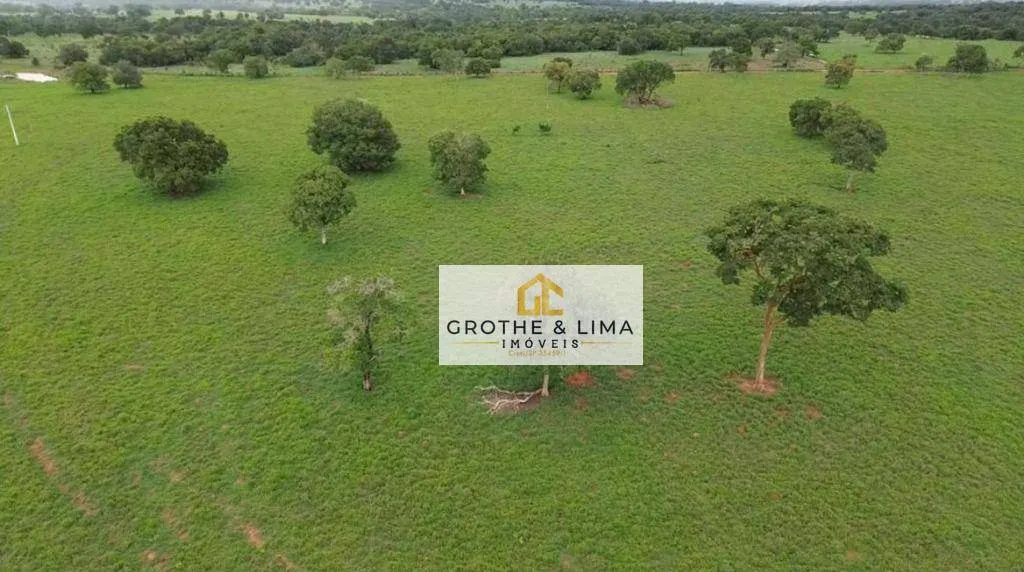 Farm for sale of 6,877 acres in Uirapuru, GO, Brazil