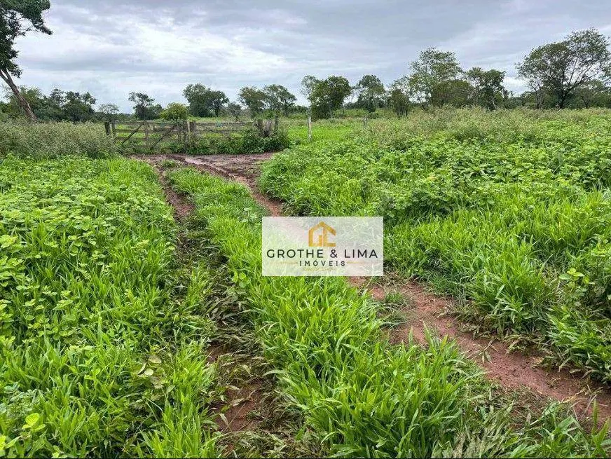 Farm for sale of 6,877 acres in Uirapuru, GO, Brazil