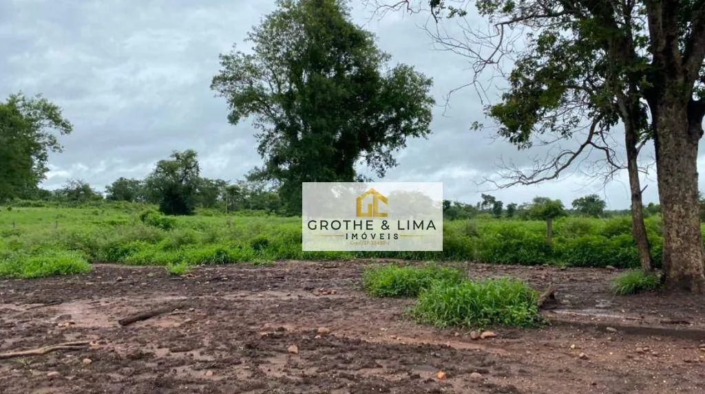 Farm for sale of 6,877 acres in Uirapuru, GO, Brazil