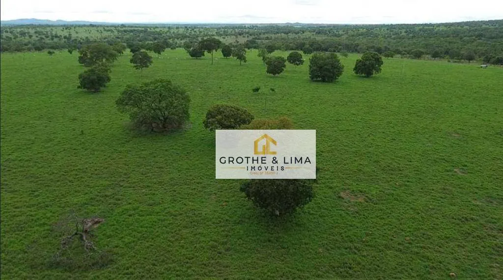 Farm for sale of 6,877 acres in Uirapuru, GO, Brazil