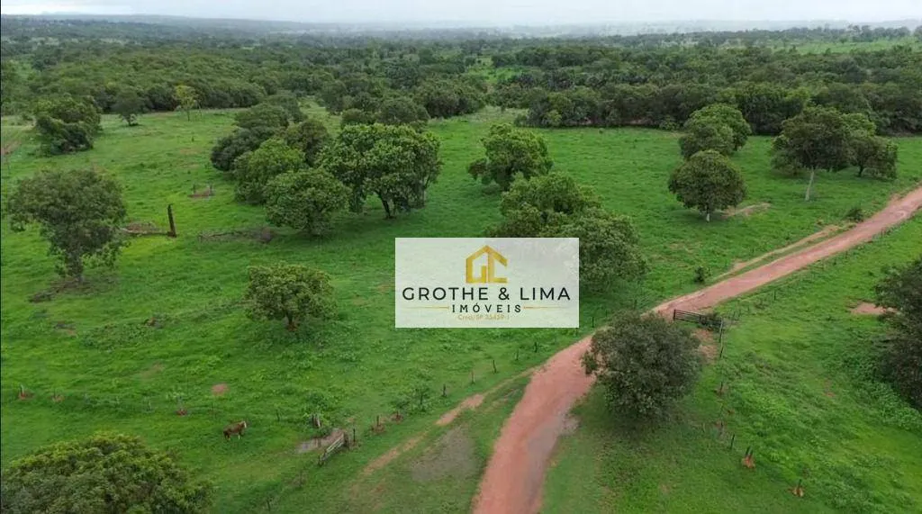 Farm for sale of 6,877 acres in Uirapuru, GO, Brazil