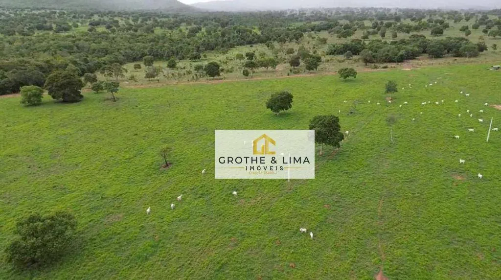 Farm for sale of 6,877 acres in Uirapuru, GO, Brazil