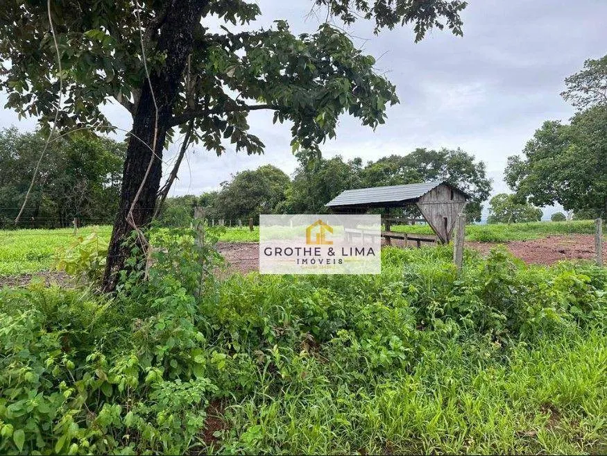 Farm for sale of 6,877 acres in Uirapuru, GO, Brazil