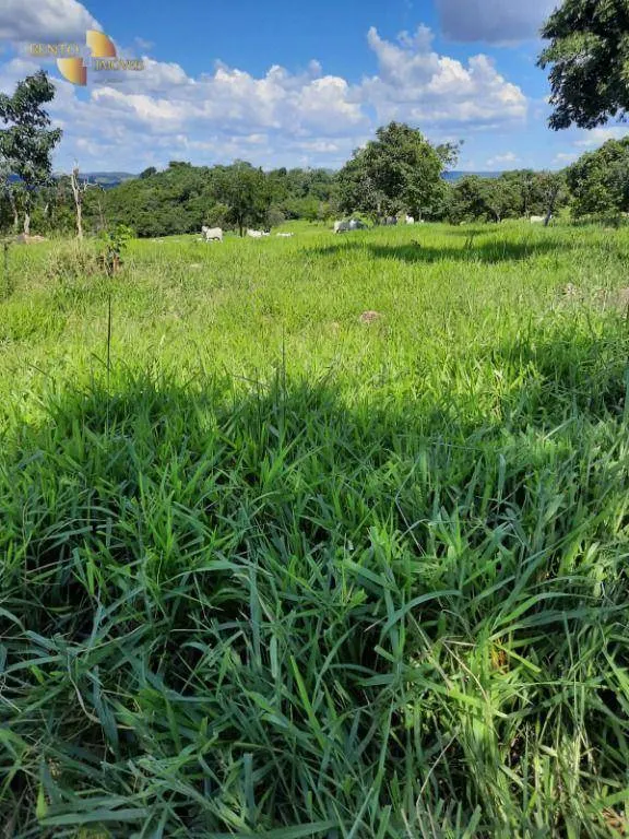 Fazenda à venda de 170 ha em São Vicente, SP, Brasil