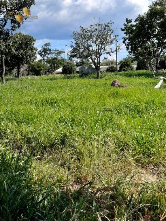 Fazenda à venda de 170 ha em São Vicente, SP, Brasil