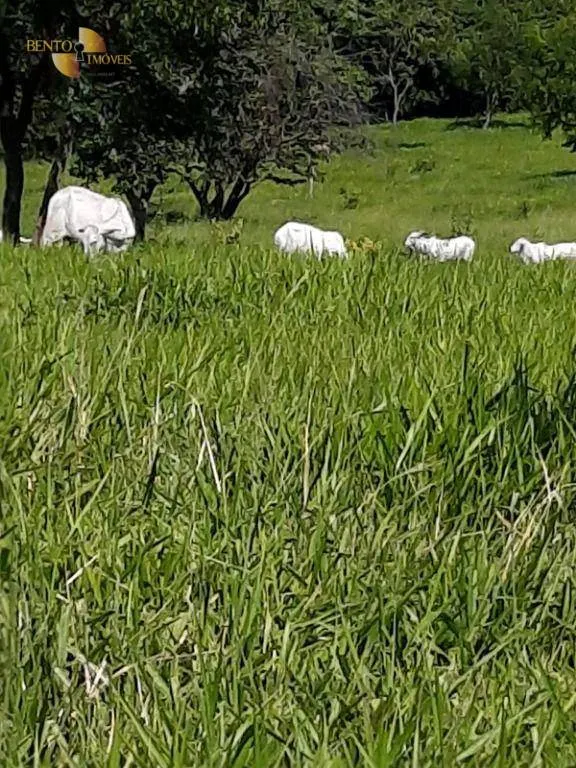 Fazenda à venda de 170 ha em São Vicente, SP, Brasil