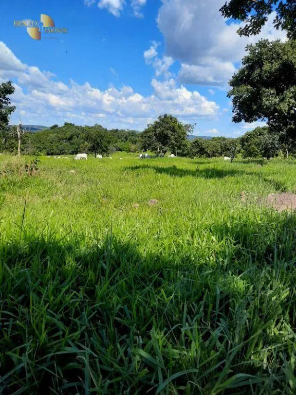 Fazenda à venda de 170 ha em São Vicente, SP, Brasil