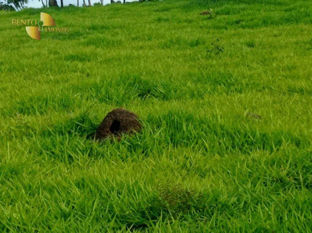 Fazenda à venda de 170 ha em São Vicente, SP, Brasil