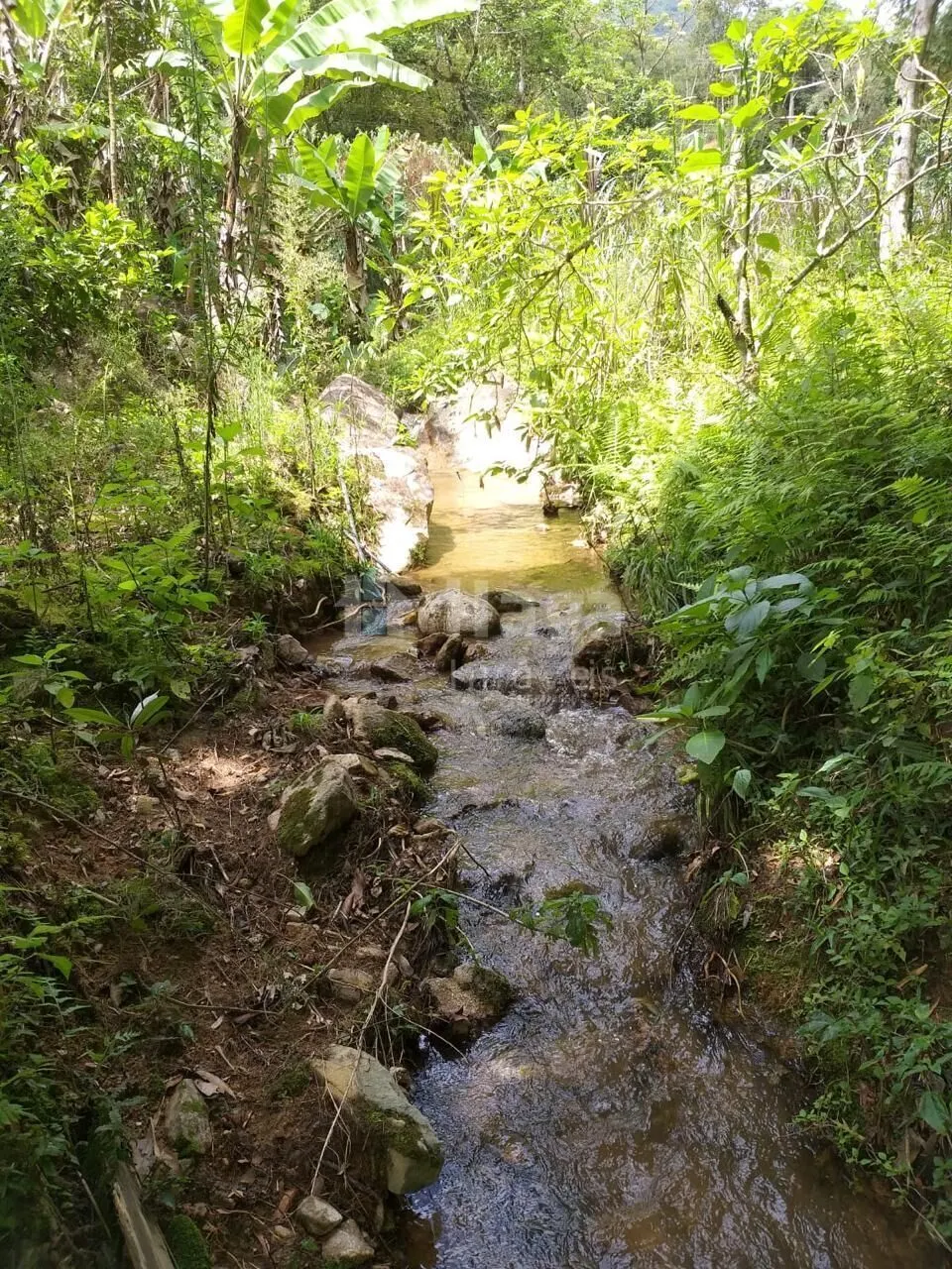Terreno à venda de 26 ha em Angelina, SC, Brasil