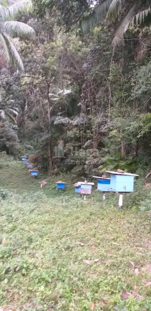 Terreno à venda de 26 ha em Angelina, SC, Brasil