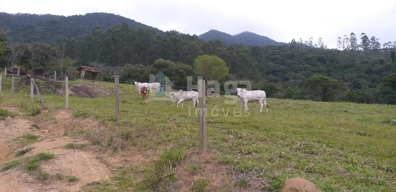 Terreno à venda de 26 ha em Angelina, SC, Brasil