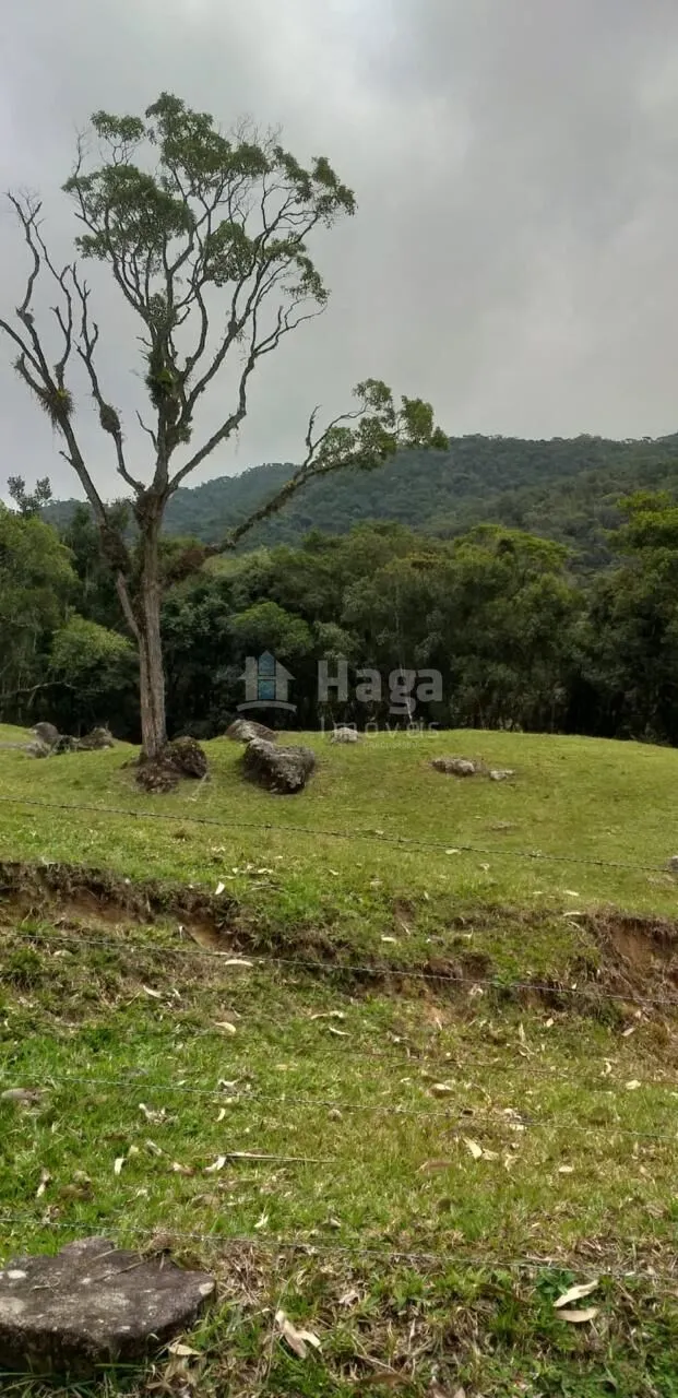 Terreno à venda de 26 ha em Angelina, SC, Brasil