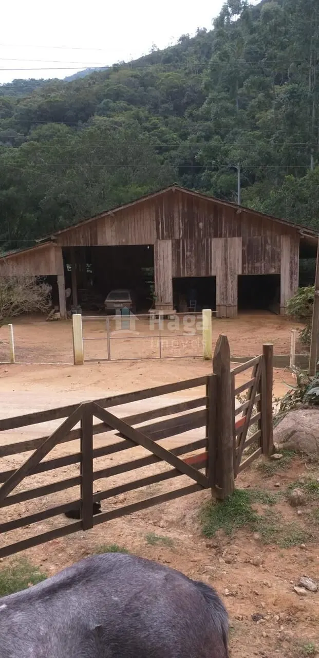 Terreno à venda de 26 ha em Angelina, SC, Brasil